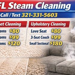 Couch & Carpet Steam Cleaner 