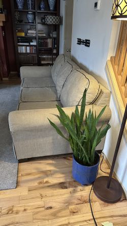 2 Sofas Are In Good Condition $70 For Both 