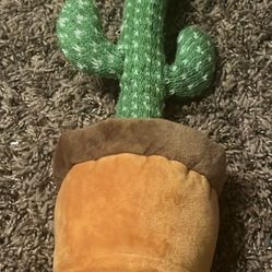 Viral dancing cactus