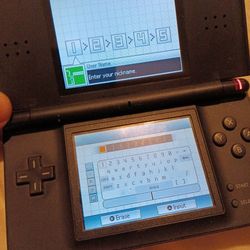 Nintendo DS Lite 