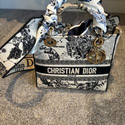 Christian Dior Medium Lady D-Lite