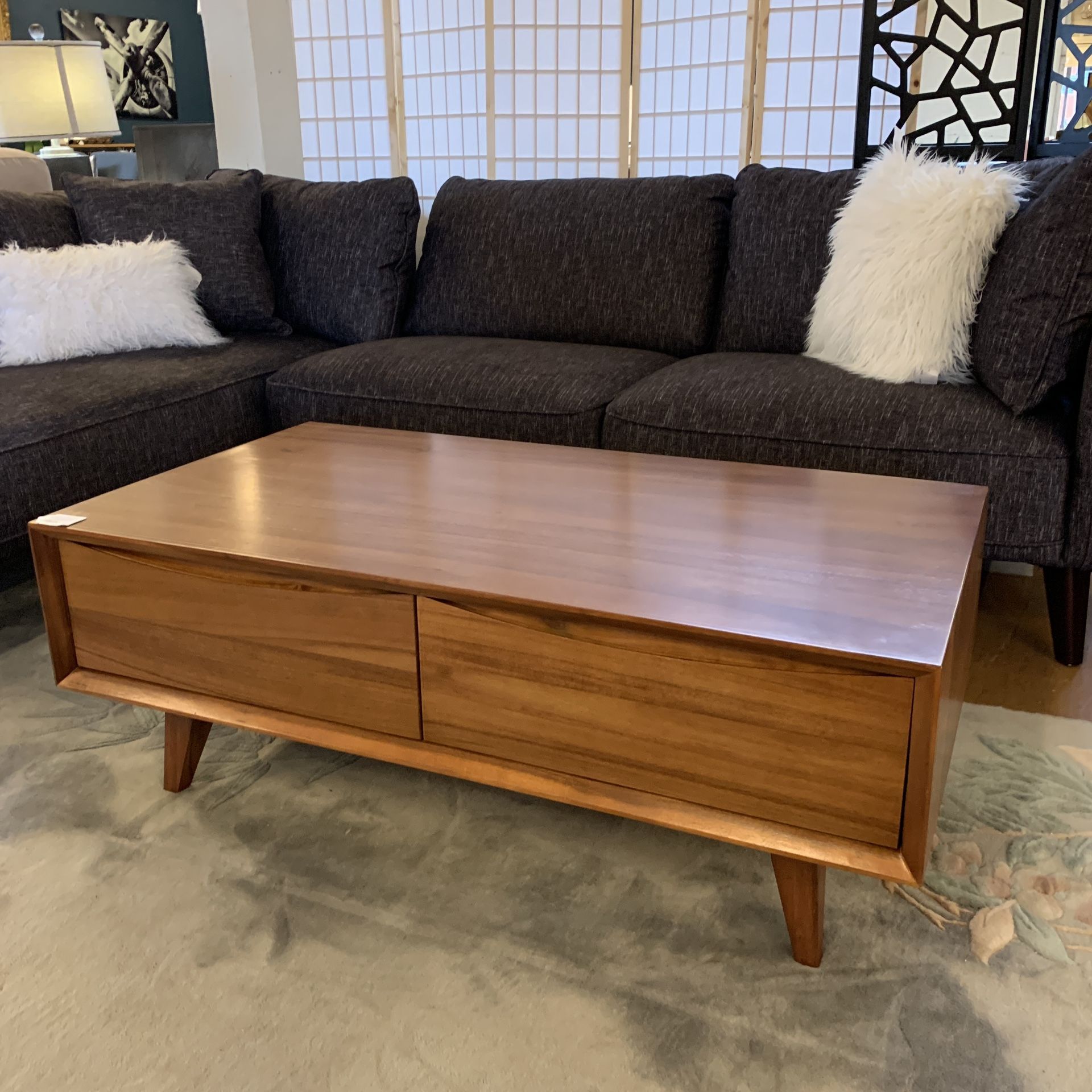 MC Styled 2 Drawer Coffee Table