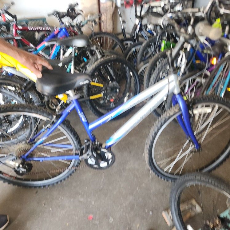 Trek Bike