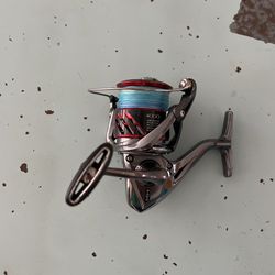 Stradic Ci4 4000