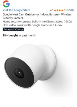 Google nest cam (indoor/outdoor)