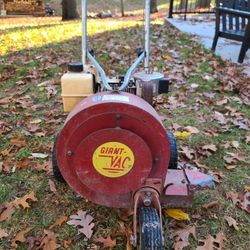 Leaf Blower Giant Vac 8 HP