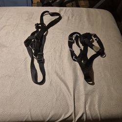 Dog Harnesses 