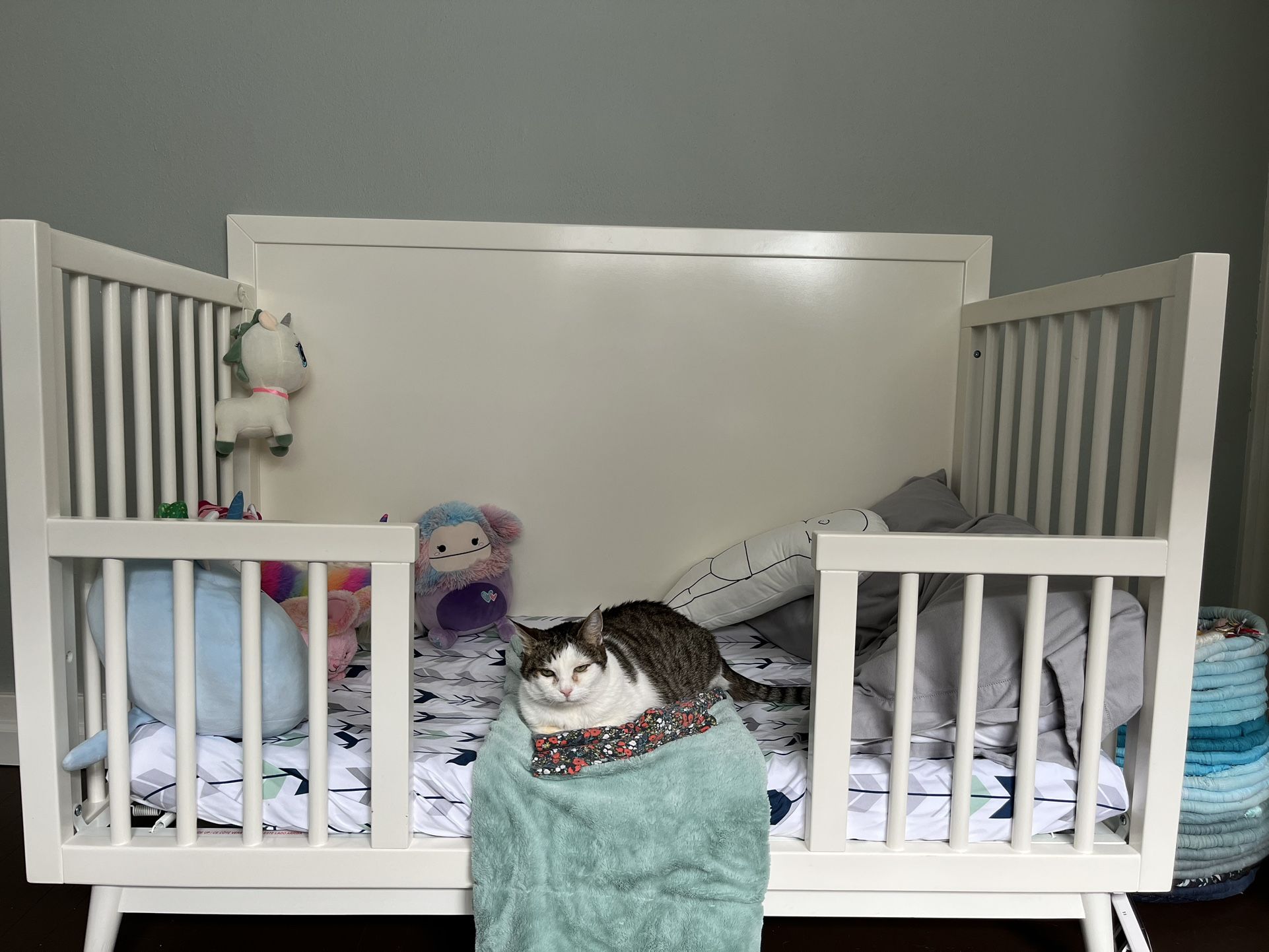 West Elm White Wooden Crib + Conversions