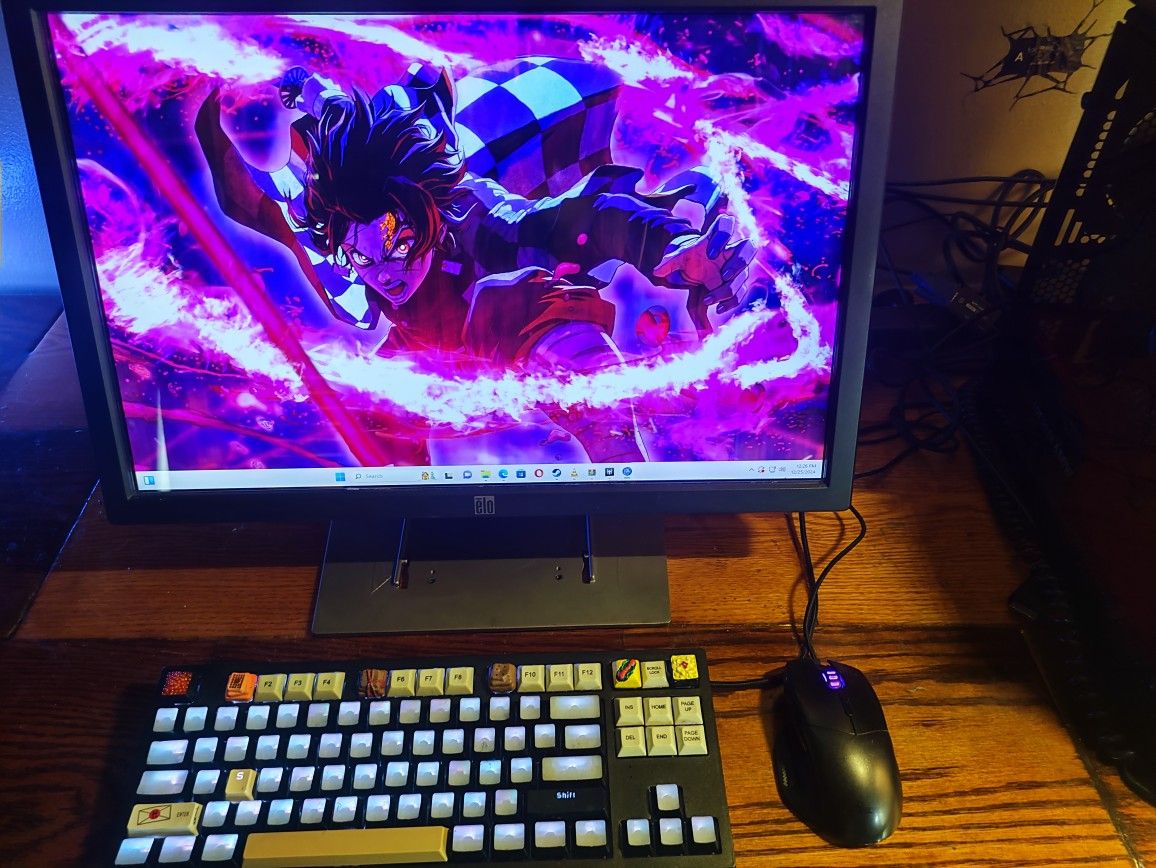 Touch Screen monitor ELO ET2200L