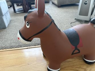 Bouncy Pony