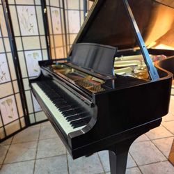 Magnificent Steinway B 1976