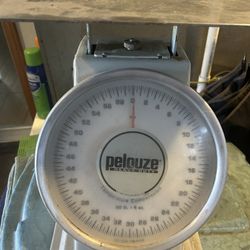 Pelouze  Scale 