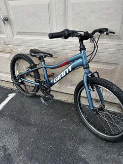Giant kids bike 20”