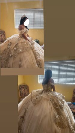Quinceanera dress