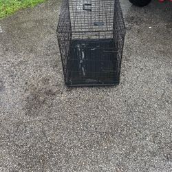 Animal Cage