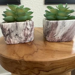 Small Fake Plants 
