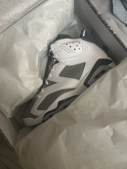 Jordan Cool Gray 6s