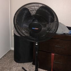 Fan