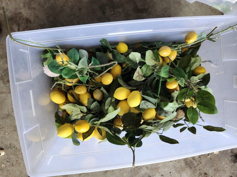 Fake Fruit And Plants