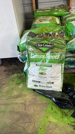 Grass seed
