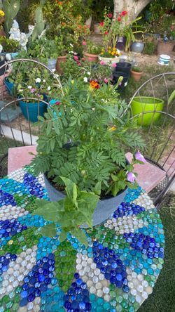 Vincas, Claveles Amarillos and midnight flower fushia
