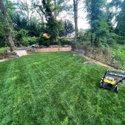 Cheap Lawn And Mulch In Dmv 