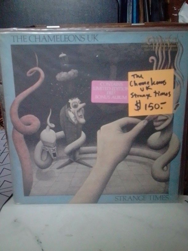 Chameleons Sun And The Moon