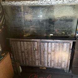 Used  fish tank