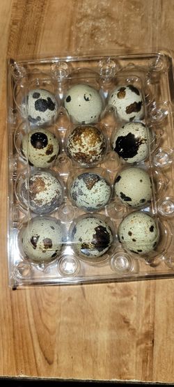 Organic Eggs