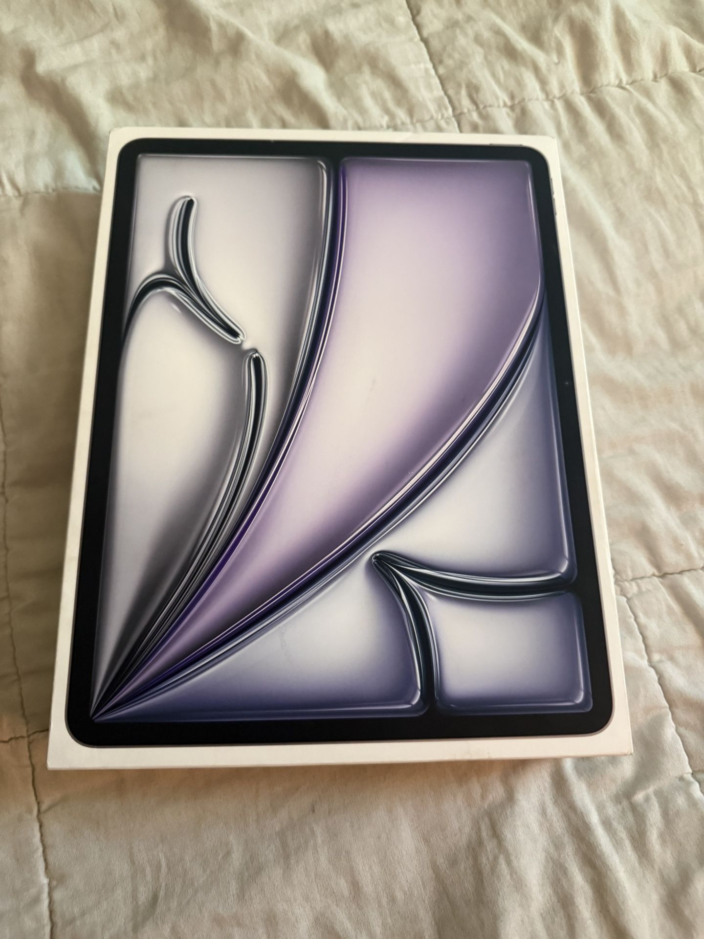 iPad Air M2 WiFi + Cellular Version