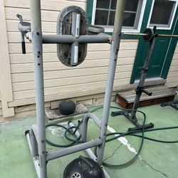 Golds Gym Pull Up Bar