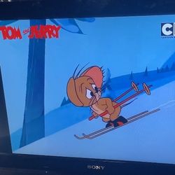 Sony 32” Tv