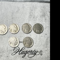 Buffalo nickels