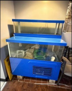 If you buy today $400 Large Custom Aquarium