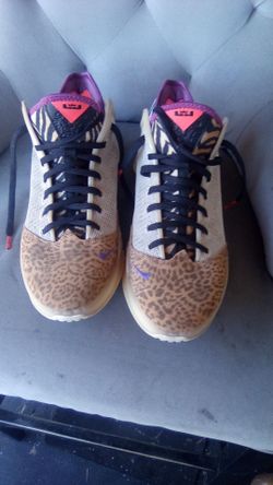LeBron James  Nike shoes