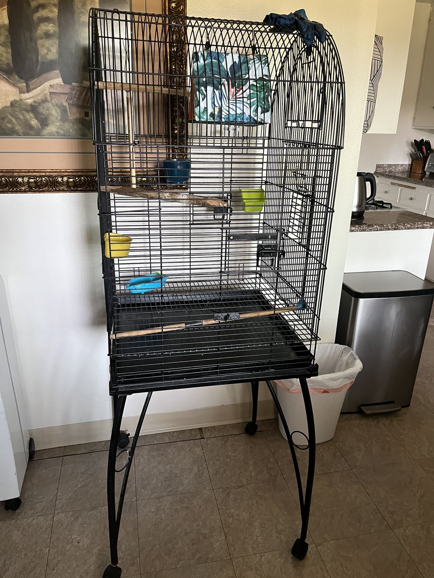 Bird Cage 