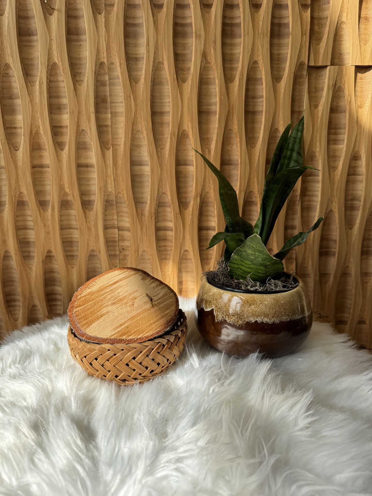 Wood Slice Decorative Drink Plant Coasters Set of 4 Boho Cottage Cabin Rustic Oversized Display
