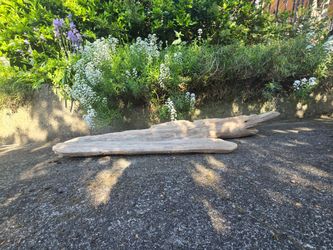 Sculptural Saltwater Driftwood