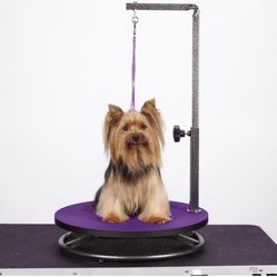 Small Dog Grooming Table 