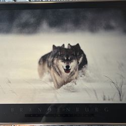 Jim Brandenburg Wolf Frontier Photo Print In Frame 32x24