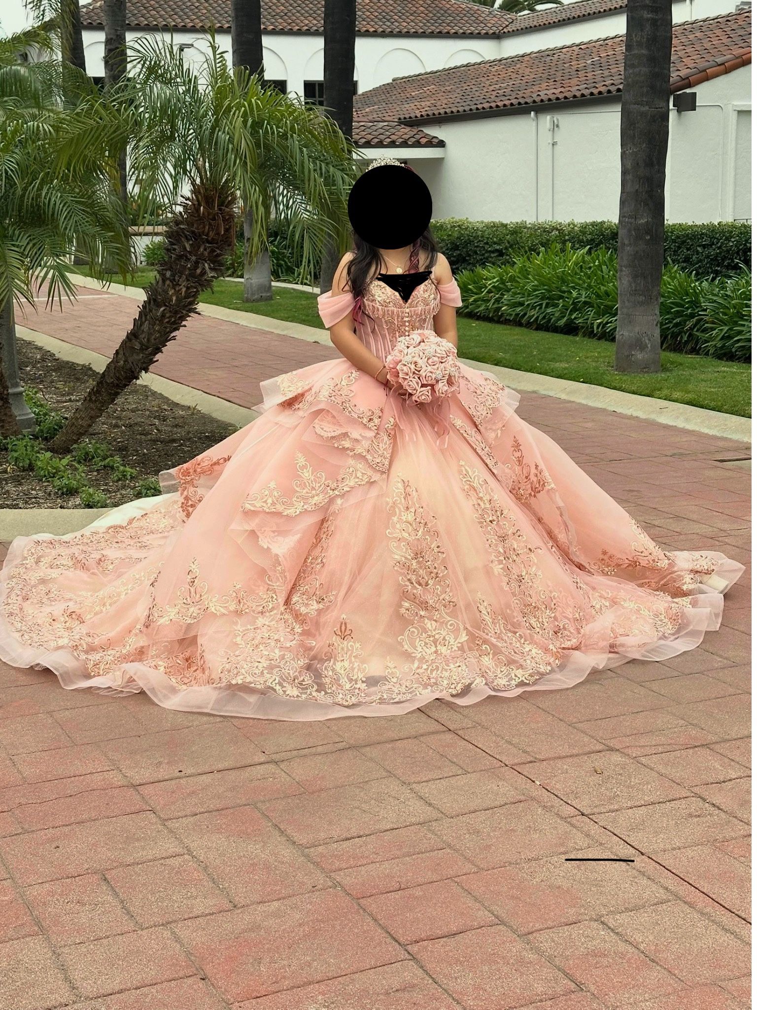 QuinceaƱera Dress Blush Pink With Rose Gold