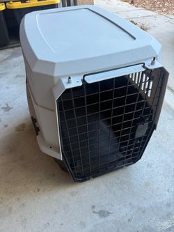 Dog Kennel