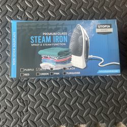 Steam Iron 