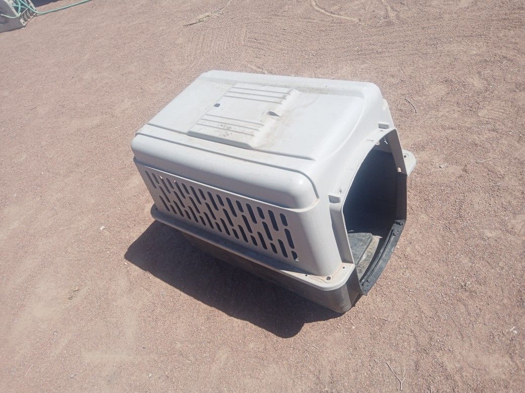 Dog House