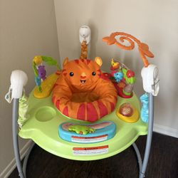 Fisher Price Baby Bouncer 