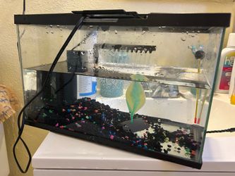 3 gallon Fish tank with lid starter kit OBO