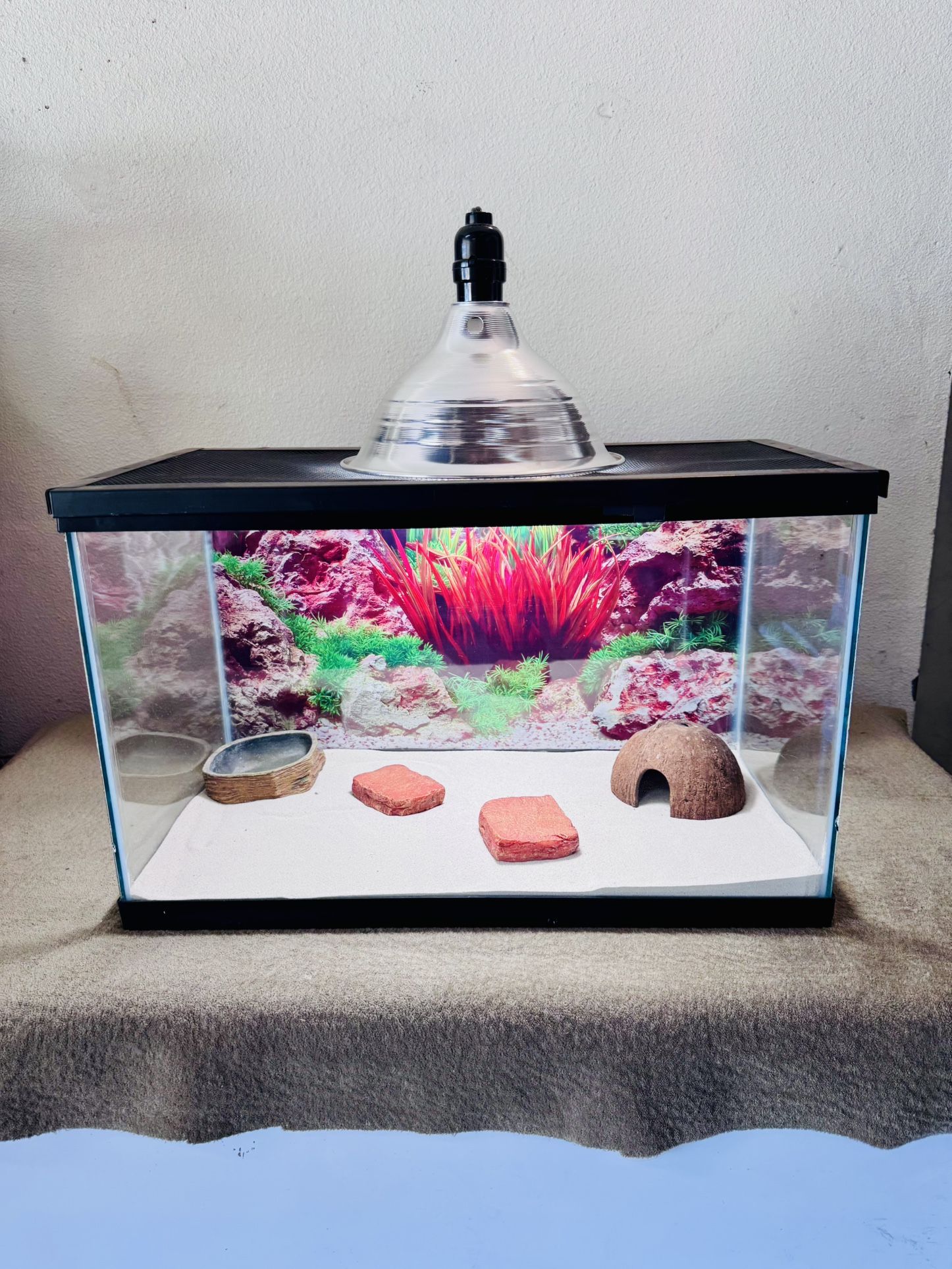 Reptile Tank 10 Gallon