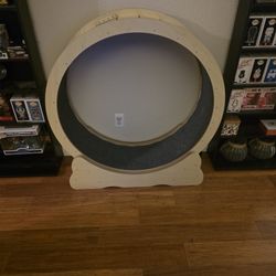 Cat Excercise Wheel