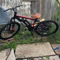 Selling My Electric Bike With The Battery And Charger