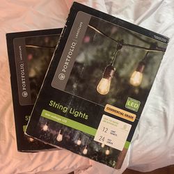 2 Boxes of Portfolio 24ft Outdoor Landscaping Low Voltage LED String of Lights